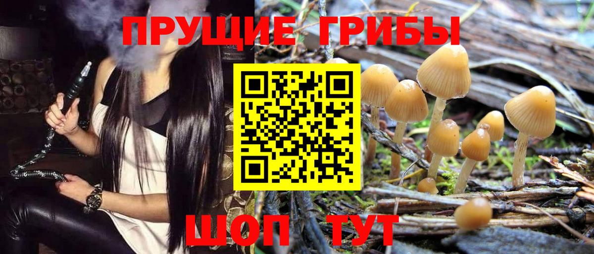Псилоцибиновые грибы прущие грибы  Псилоцибиновые грибы ЛСД  Выкса  Вход с VPN 