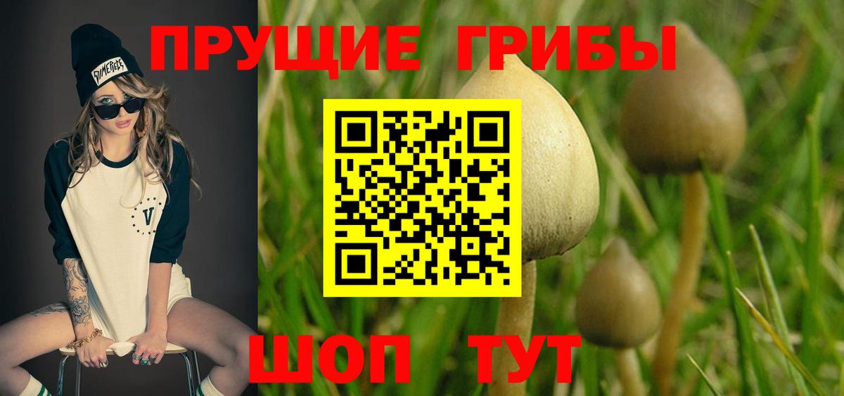 Псилоцибиновые грибы GOLDEN TEACHER Выкса